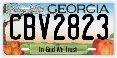 GA license plate CBV2823