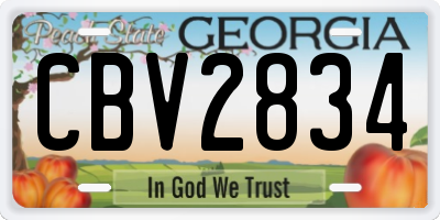 GA license plate CBV2834