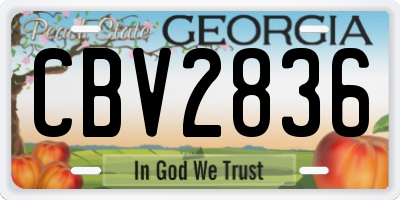 GA license plate CBV2836
