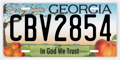 GA license plate CBV2854