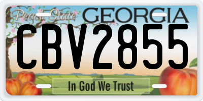 GA license plate CBV2855