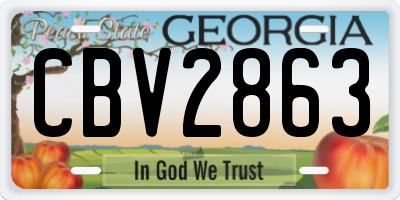 GA license plate CBV2863