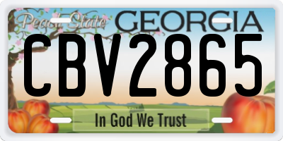 GA license plate CBV2865
