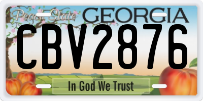 GA license plate CBV2876