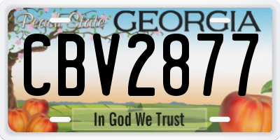 GA license plate CBV2877