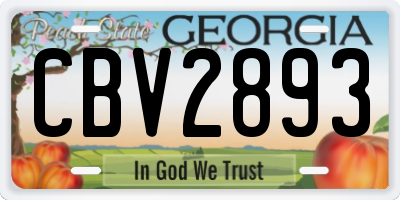 GA license plate CBV2893