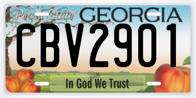 GA license plate CBV2901