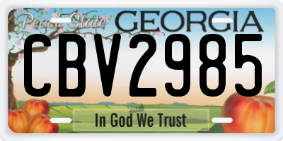 GA license plate CBV2985