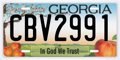 GA license plate CBV2991