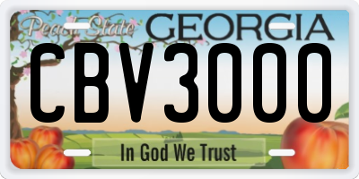 GA license plate CBV3000