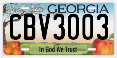 GA license plate CBV3003