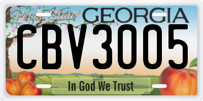 GA license plate CBV3005