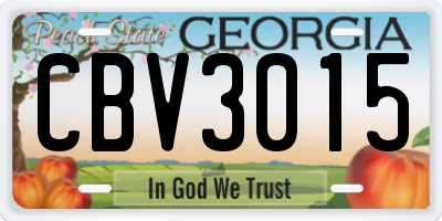 GA license plate CBV3015