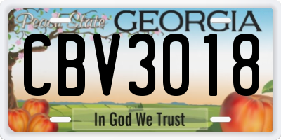 GA license plate CBV3018