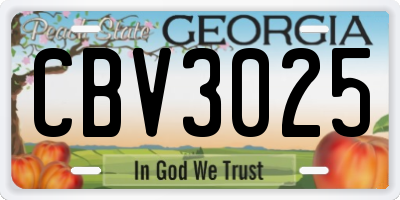 GA license plate CBV3025