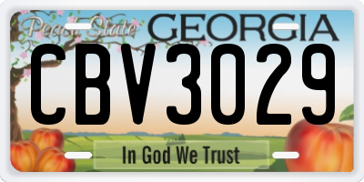 GA license plate CBV3029