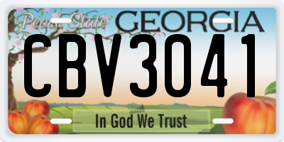 GA license plate CBV3041