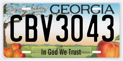 GA license plate CBV3043