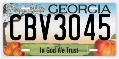 GA license plate CBV3045