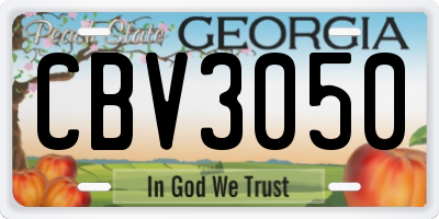 GA license plate CBV3050