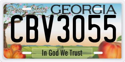 GA license plate CBV3055