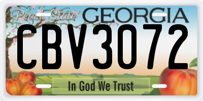 GA license plate CBV3072