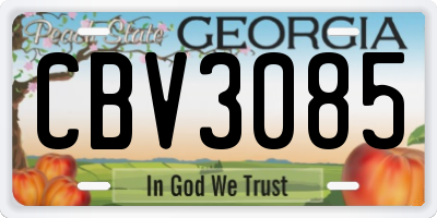 GA license plate CBV3085
