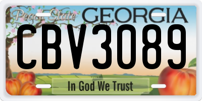 GA license plate CBV3089