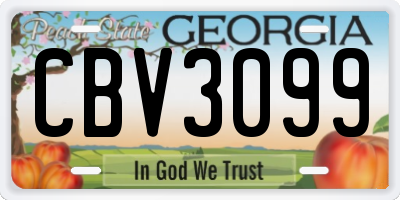 GA license plate CBV3099