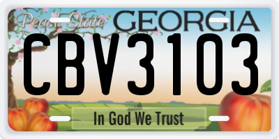 GA license plate CBV3103