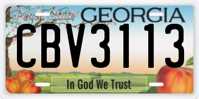 GA license plate CBV3113