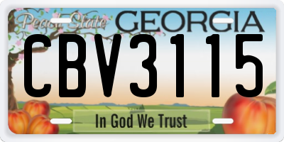 GA license plate CBV3115