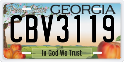 GA license plate CBV3119
