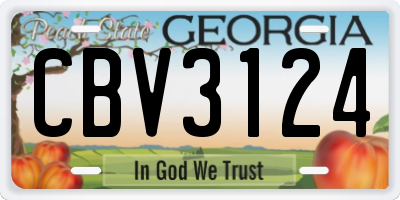 GA license plate CBV3124