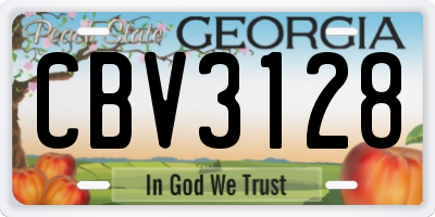 GA license plate CBV3128