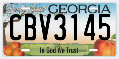 GA license plate CBV3145