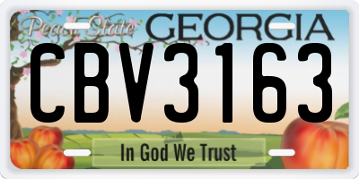 GA license plate CBV3163