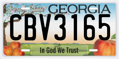 GA license plate CBV3165