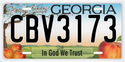 GA license plate CBV3173
