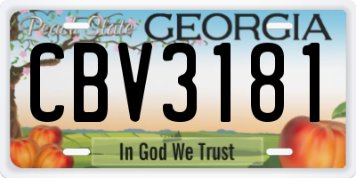 GA license plate CBV3181