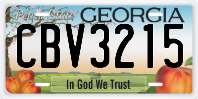 GA license plate CBV3215