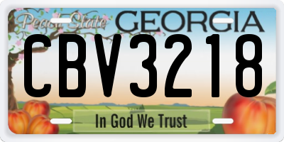 GA license plate CBV3218