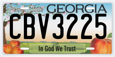 GA license plate CBV3225