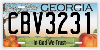 GA license plate CBV3231