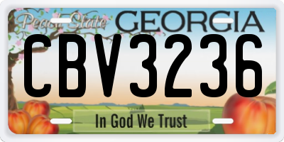 GA license plate CBV3236