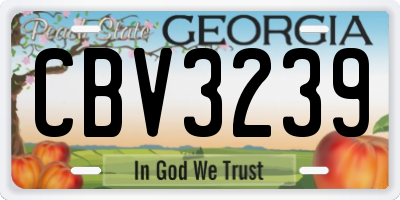 GA license plate CBV3239