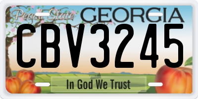 GA license plate CBV3245