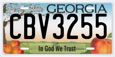 GA license plate CBV3255