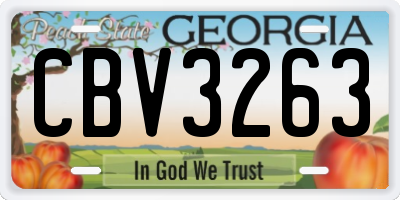 GA license plate CBV3263