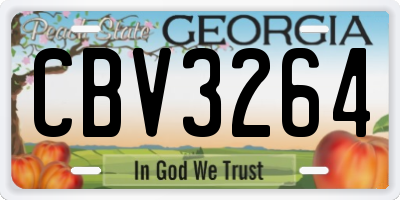 GA license plate CBV3264